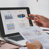 Demographic Surveys